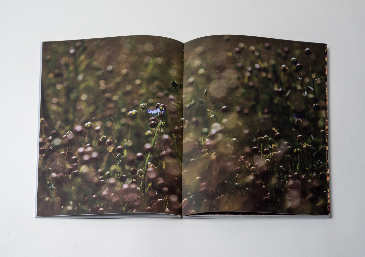Kimsooja: Sowing Into Painting